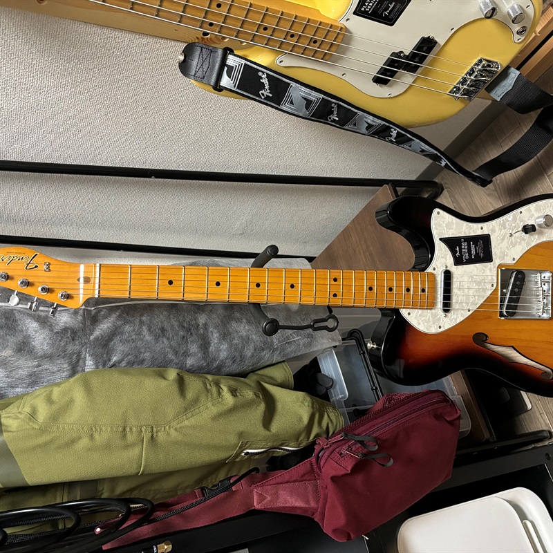 Fender MEX Vintera II 60s Telecaster Thinlineの画像